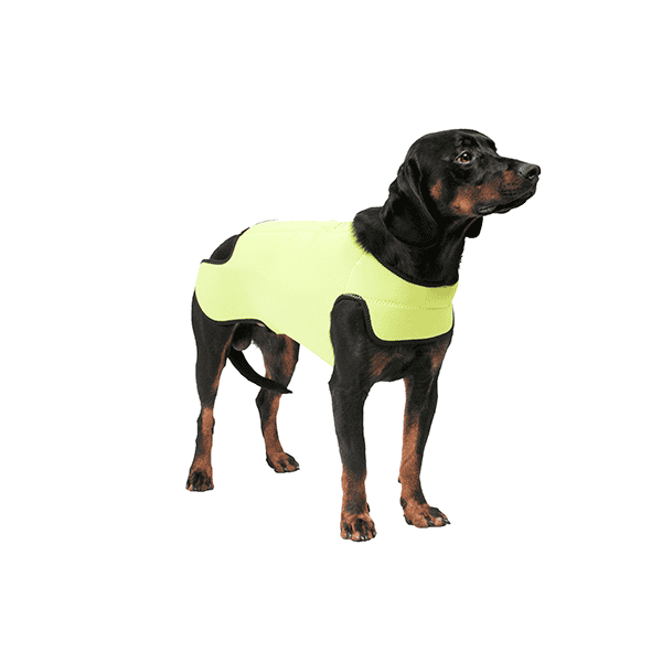 Dogtech Retriver Yellow
