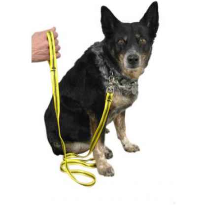 Metolius Dog leash