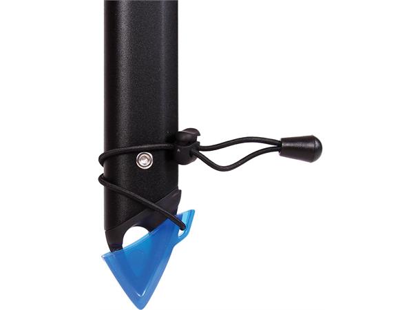 Blue Ice Blackbird - Bilde 3