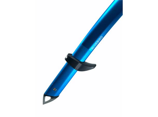 Blue Ice Bluebird - Bilde 4