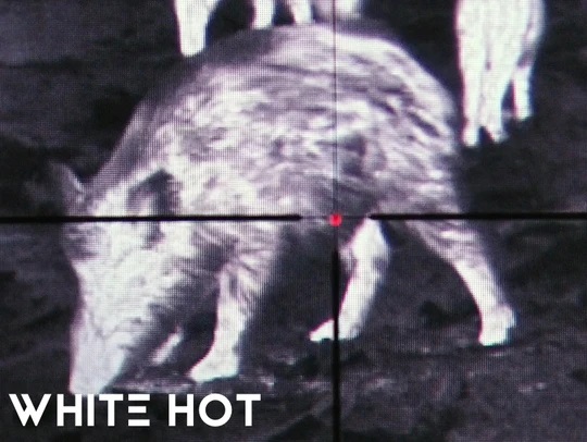 Heimdall Fokus 35 Thermal - Bilde 2