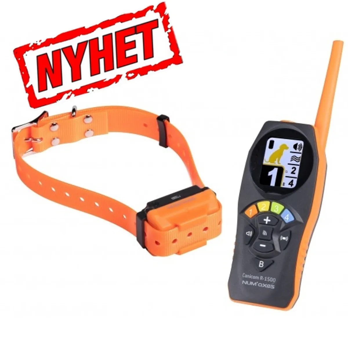 Canicom R-1500 Dressurband, oppladbar. NYHET!