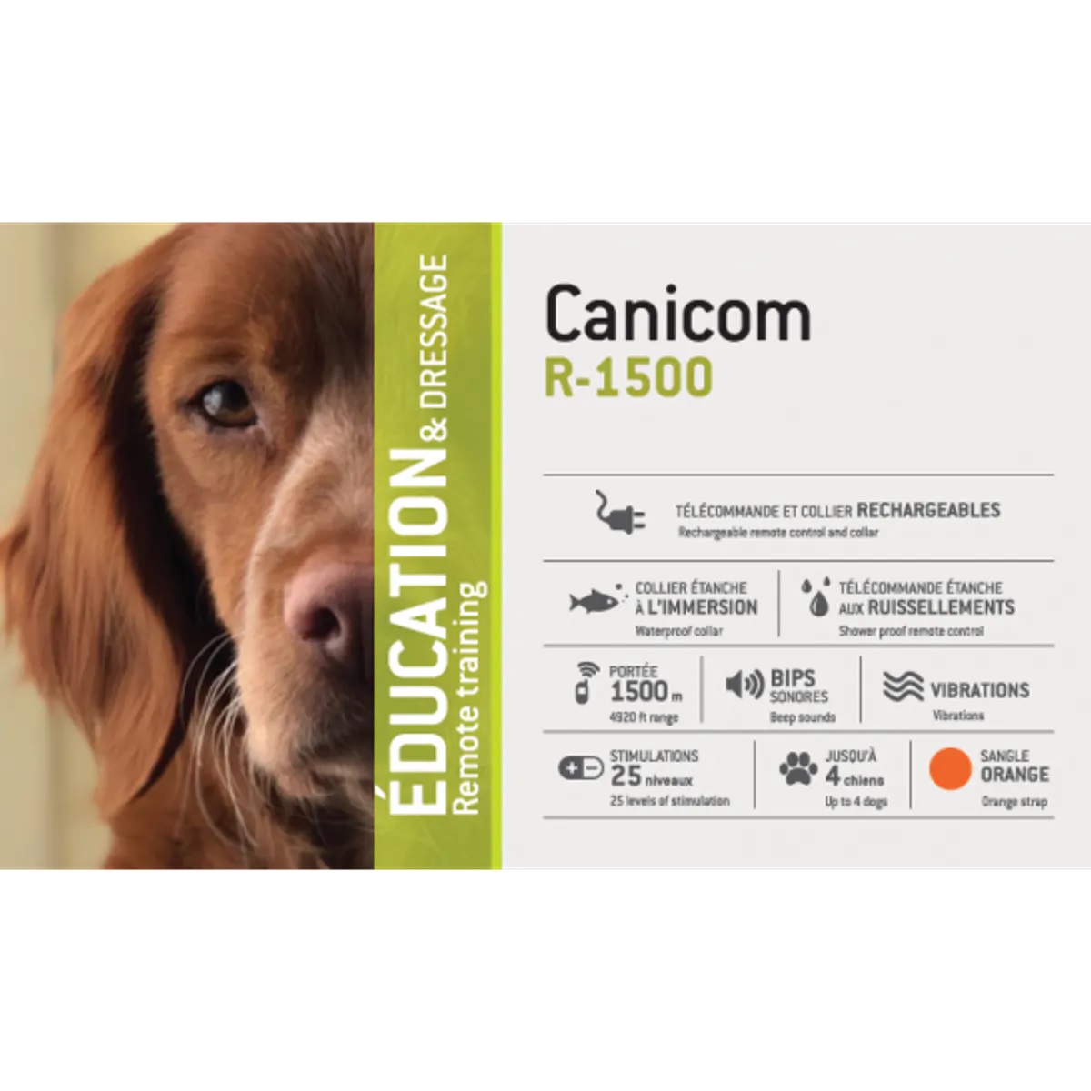 Canicom R-1500 Dressurband, oppladbar. NYHET! - Bilde 3