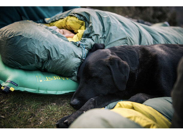 TAR Questar -6C - Bilde 5